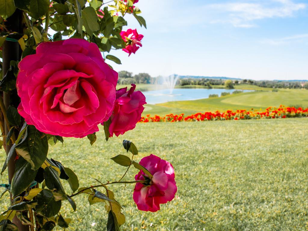 Garda Hotel San Vigilio Golf Pozzolengo Eksteriør bilde